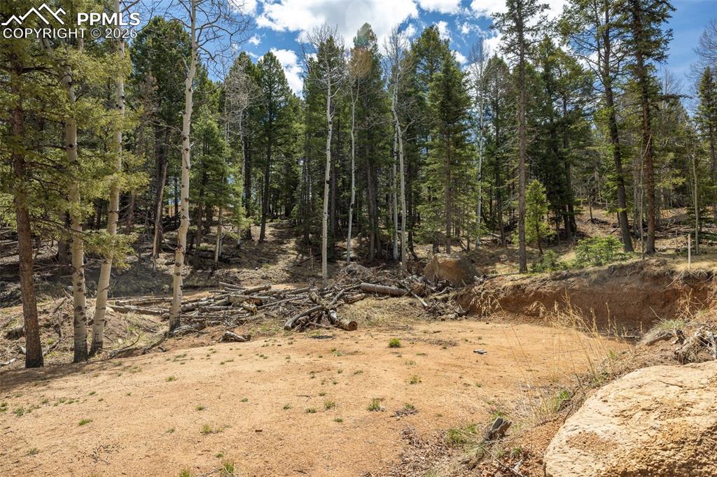 Image 3 of 19: Other