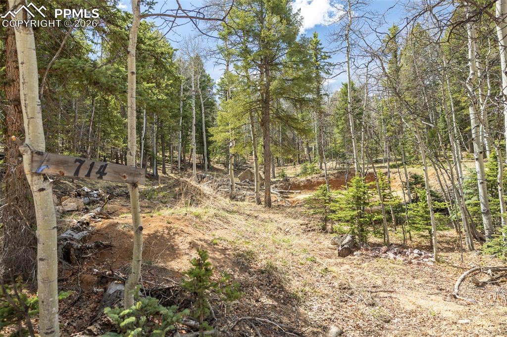 Image 5 of 19: Other