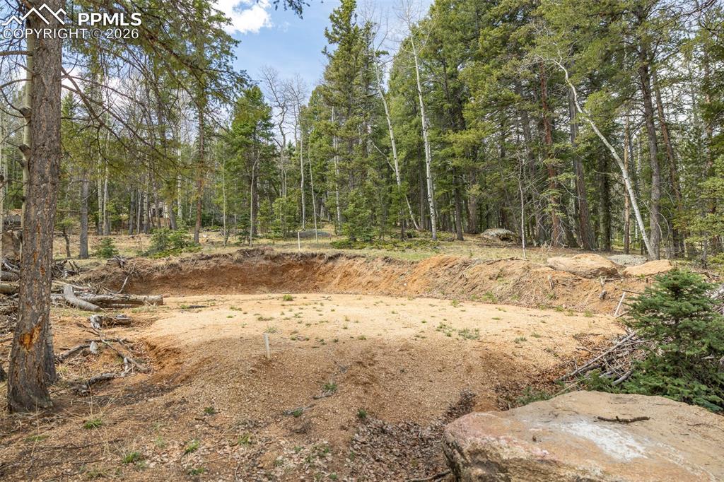 Image 6 of 19: Other