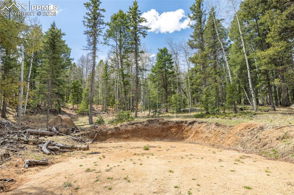 Image 7 of 19: Other