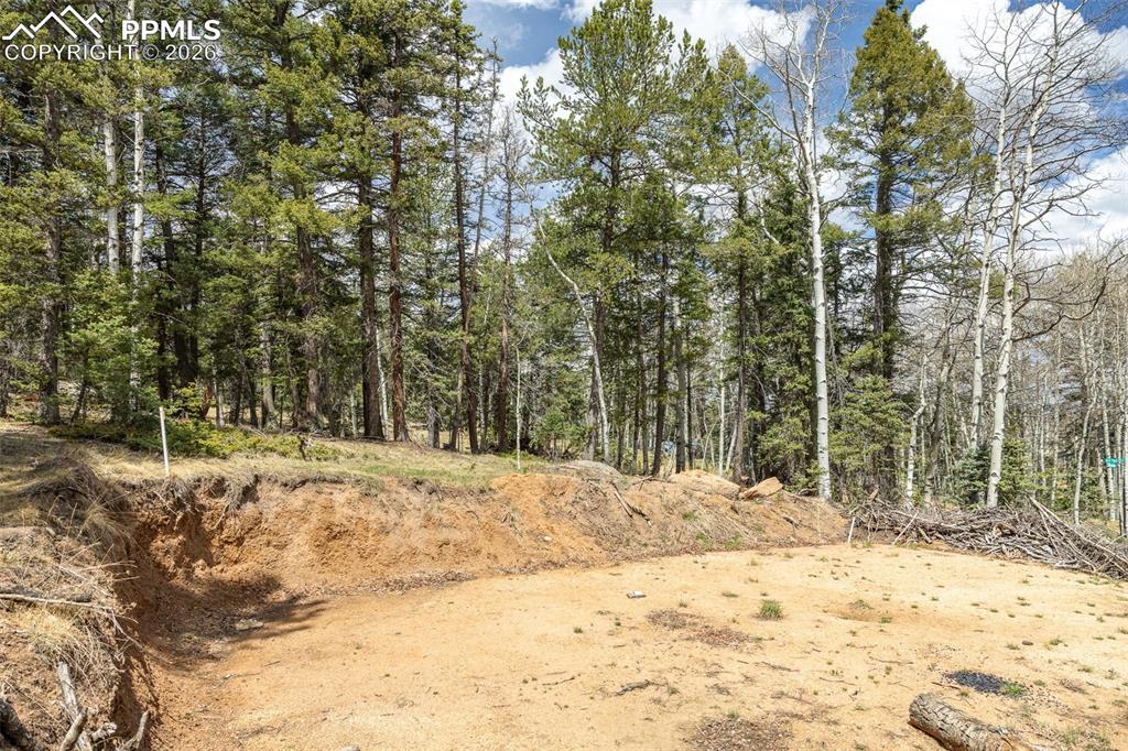 Image 8 of 19: Other