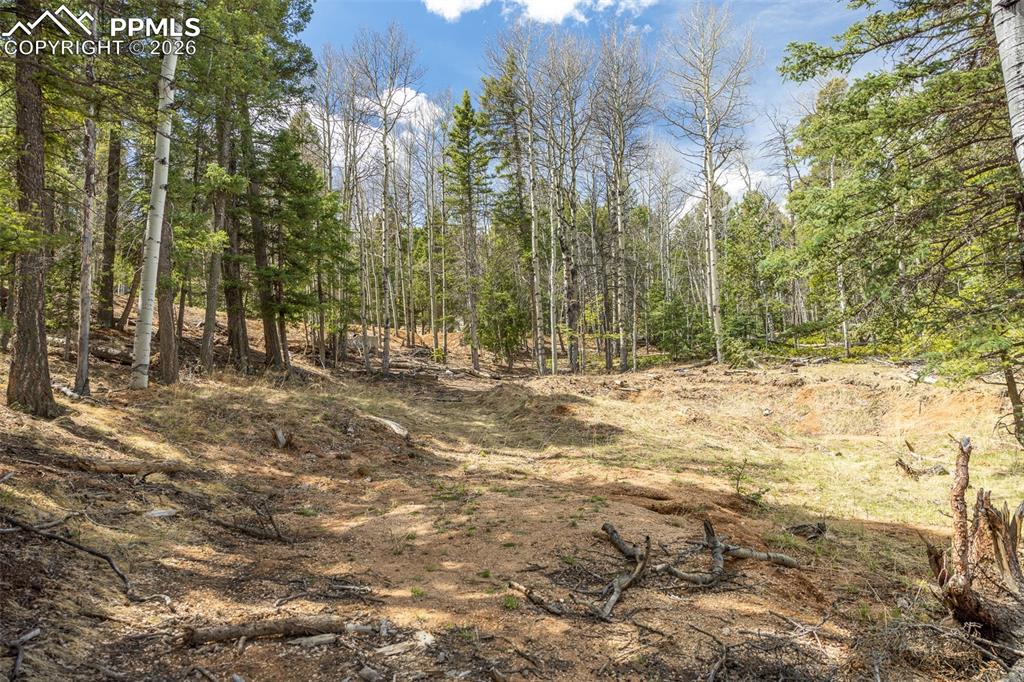 Image 9 of 19: Other