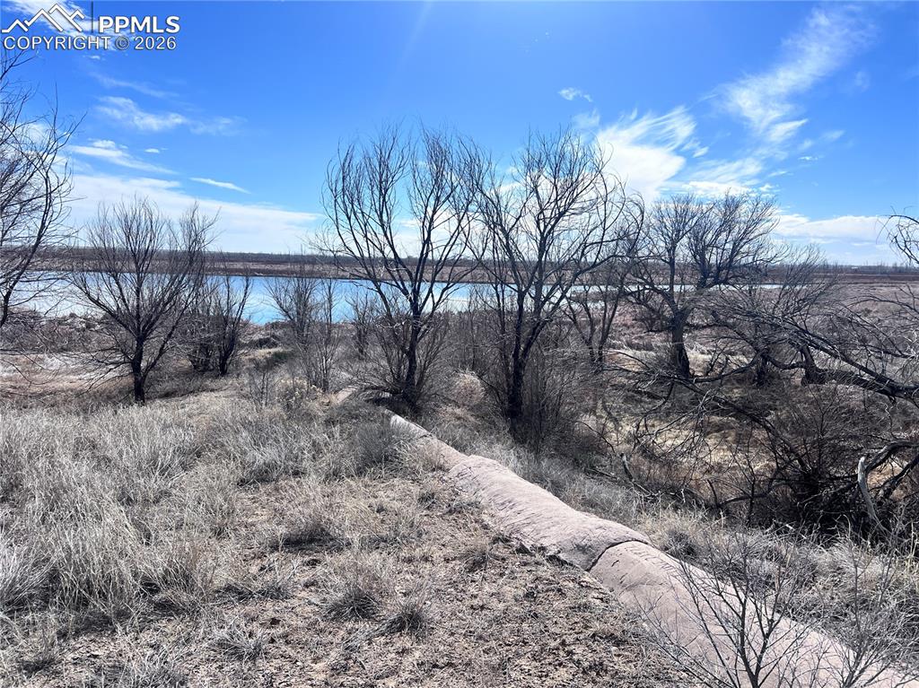 Image 16 of 33: The property features a single-story structure with a light-colored exterio