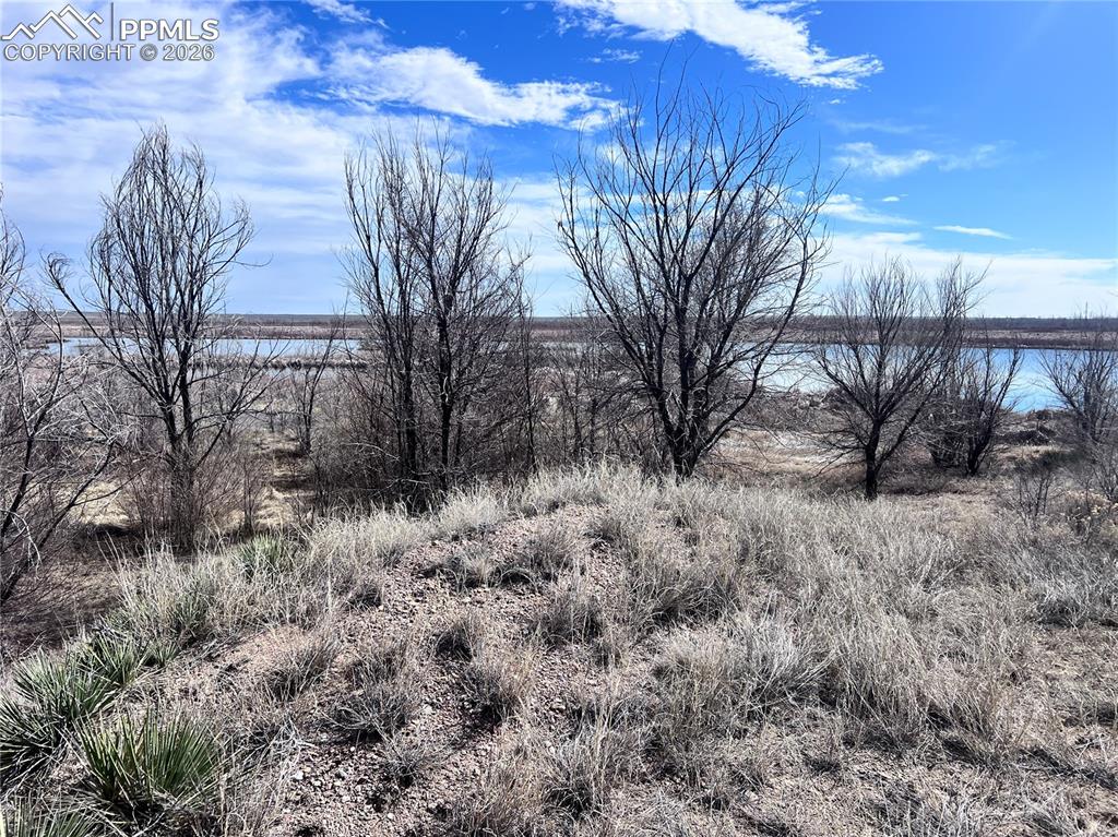 Image 17 of 33: The property features a single-story structure with a light grey exterior a