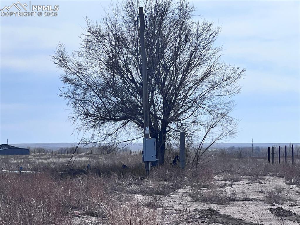 Image 20 of 33: This property features natural terrain with various plant life, including b