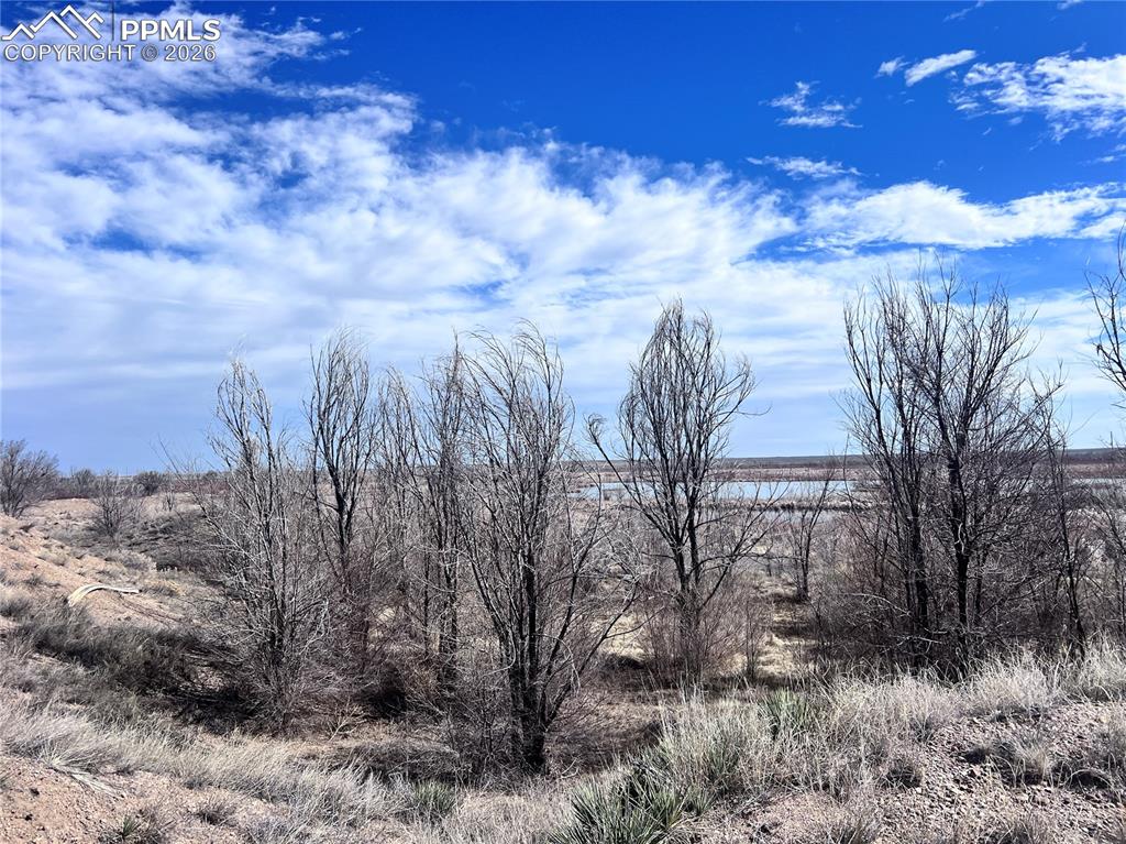 Image 25 of 33: Expansive open land with natural ground cover, offering clear views to the