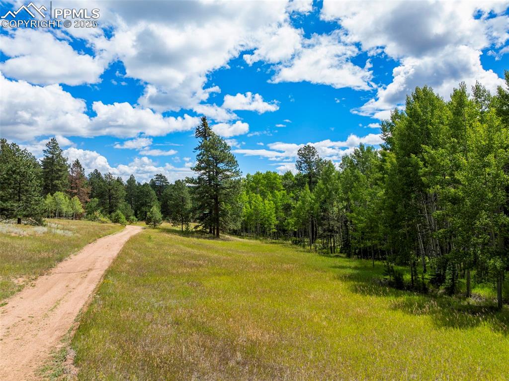 Image 36 of 42: Other