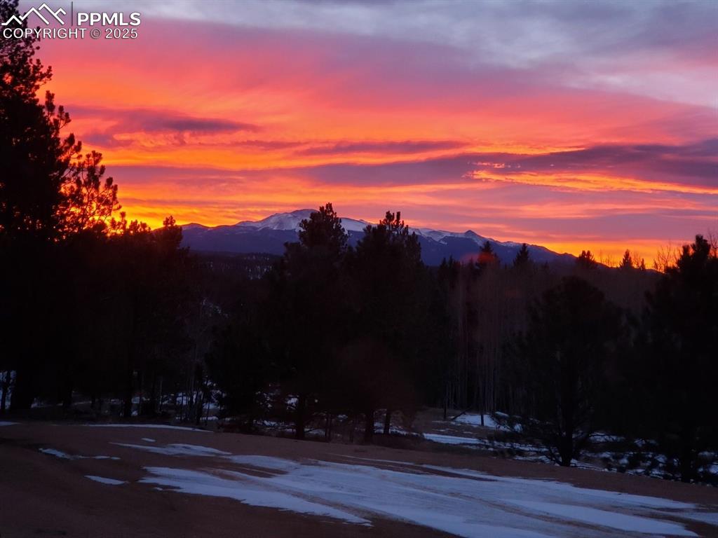 Image 42 of 42: View