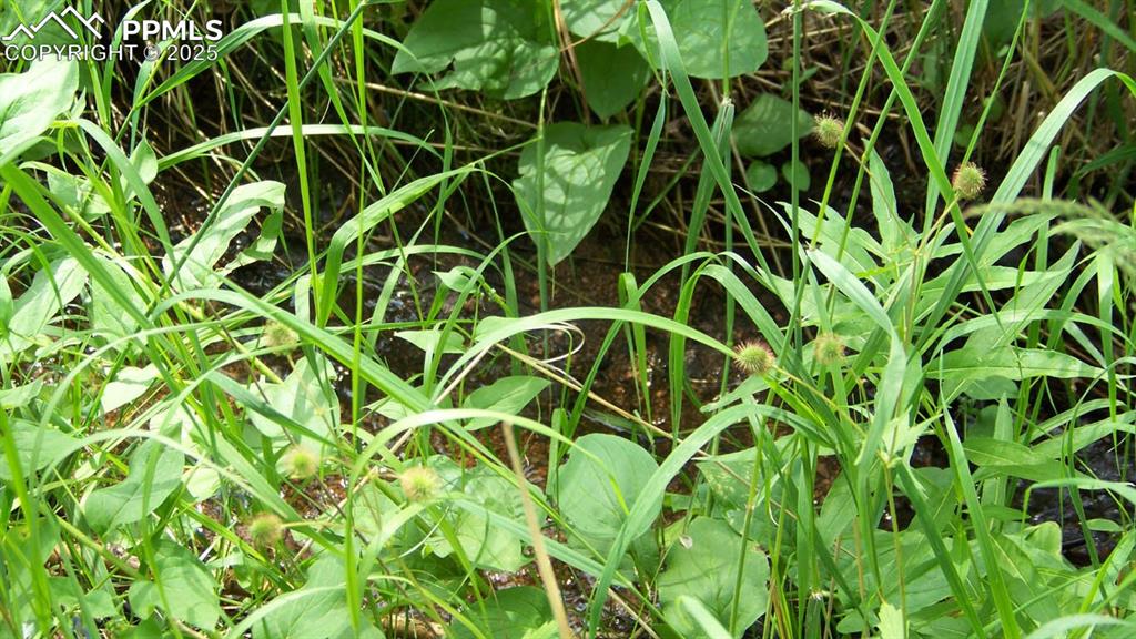 Image 6 of 6: Other