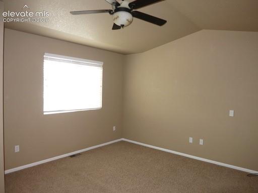 Image 9 of 15: Other