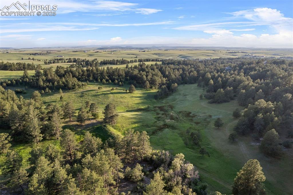 Image 45 of 49: 120 acres of breathtaking land surrounded by tall pines, views of Pikes Pea