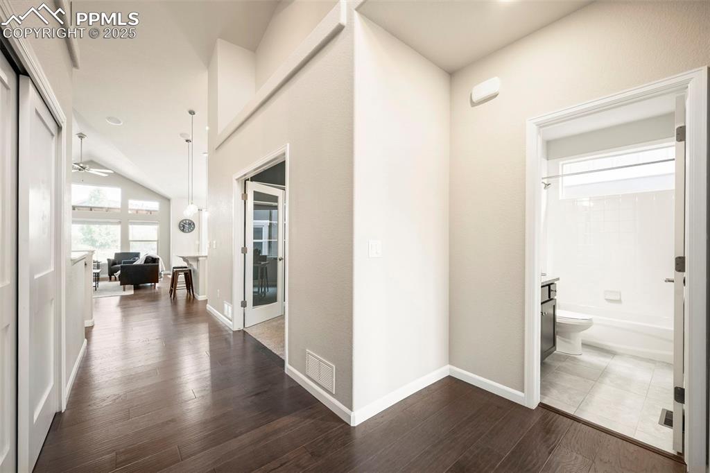 Image 19 of 50: Other