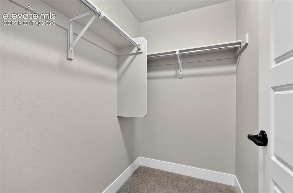 Image 15 of 50: Walk-in closet with neutral-toned walls, white trim, and a carpeted floor