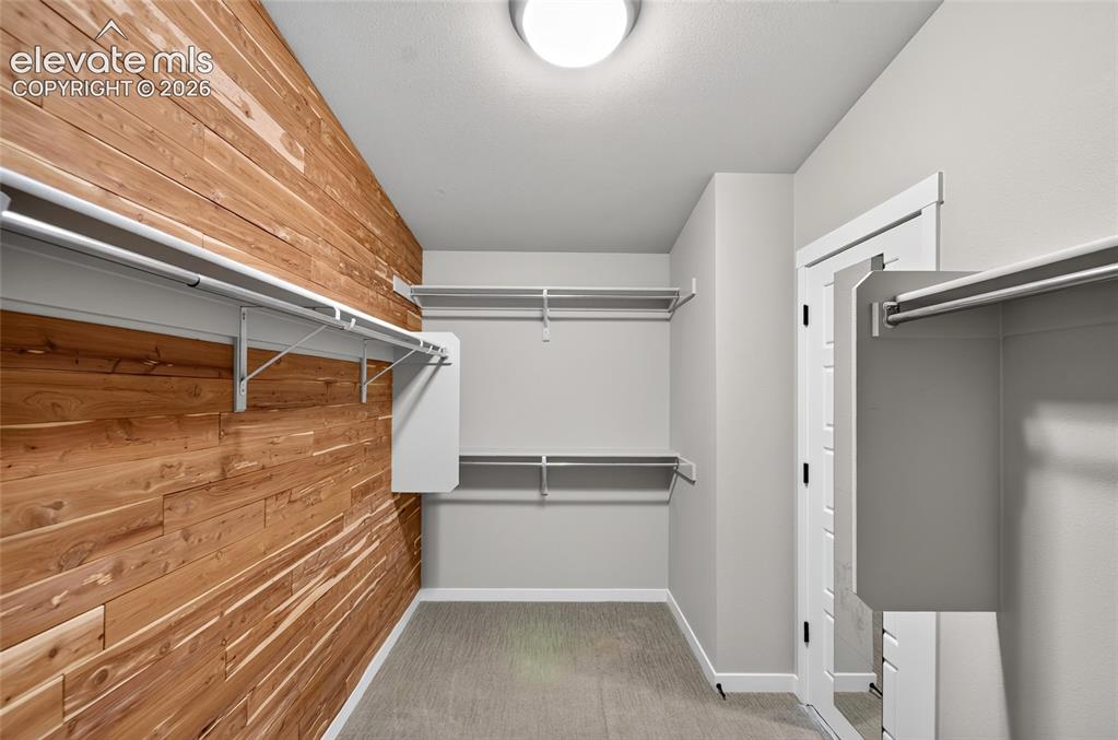 Image 20 of 50: Spacious walk-in closet featuring a cedar accent wall, multiple shelving un