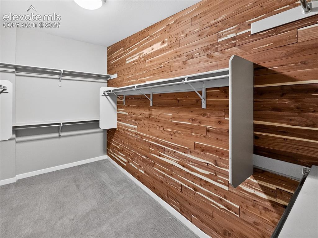 Image 21 of 50: Custom cedar wall paneling creating a distinctive accent