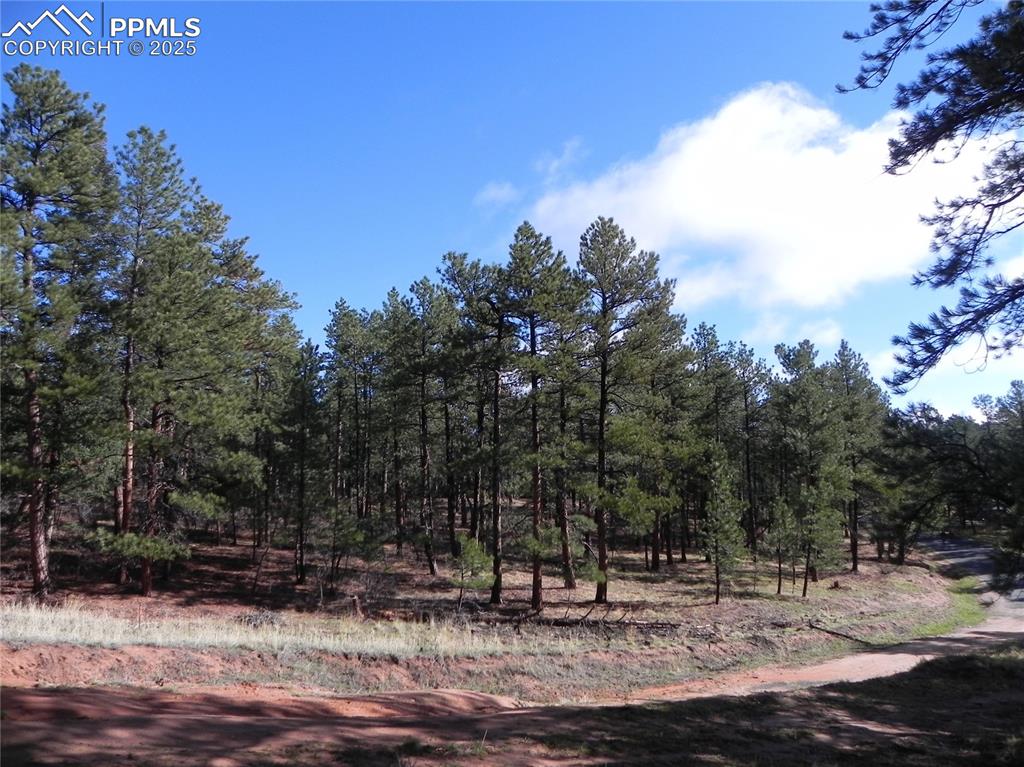 Image 10 of 20: Other