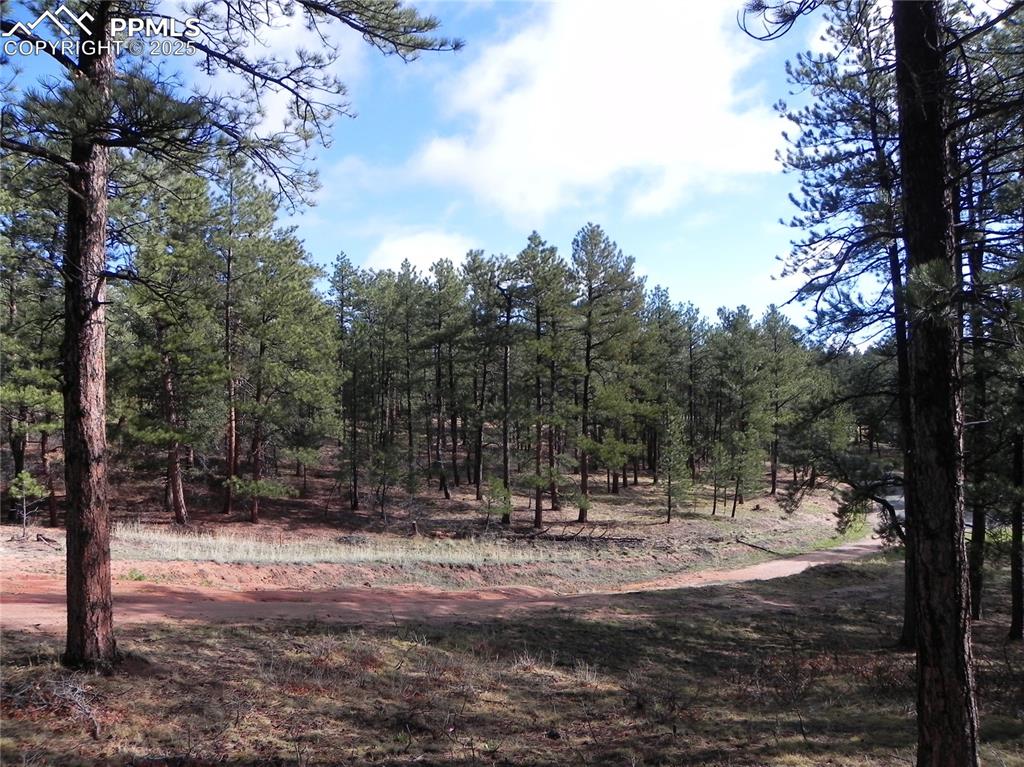 Image 11 of 20: Other