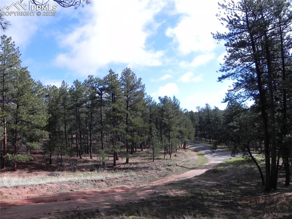 Image 12 of 20: Community