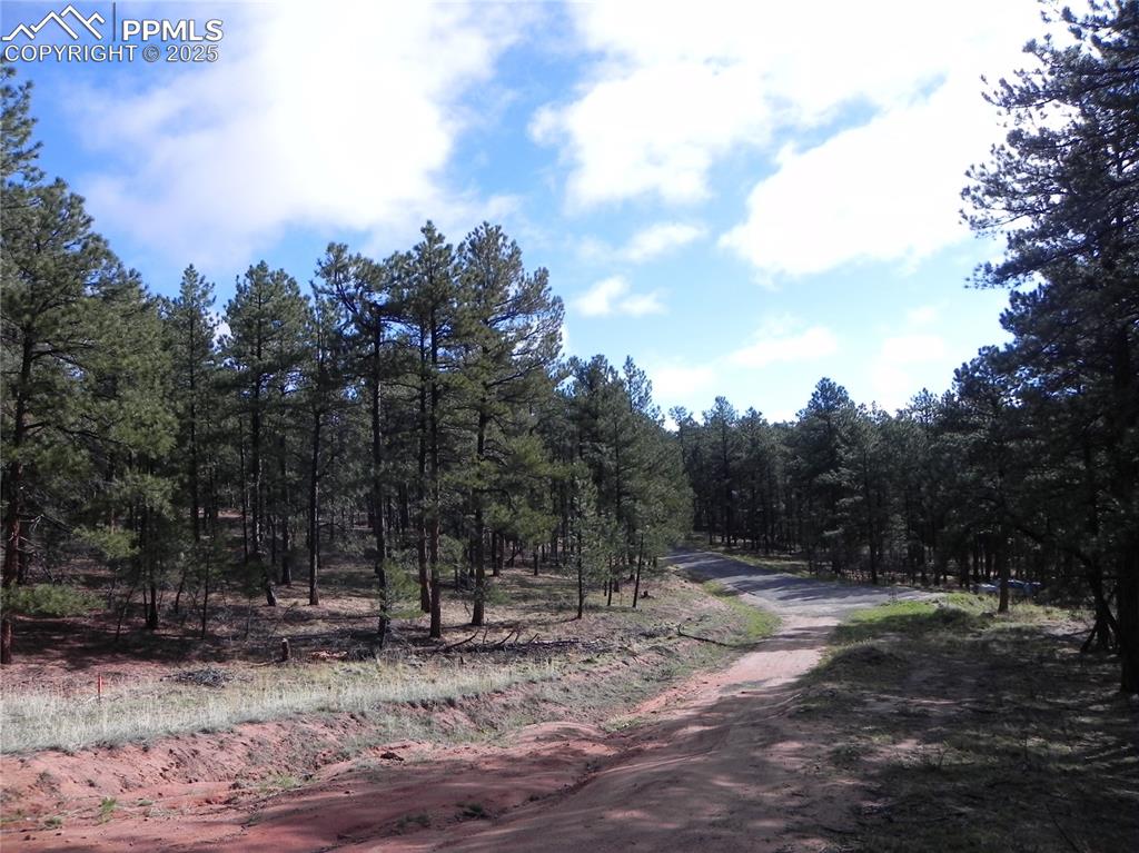 Image 13 of 20: Community