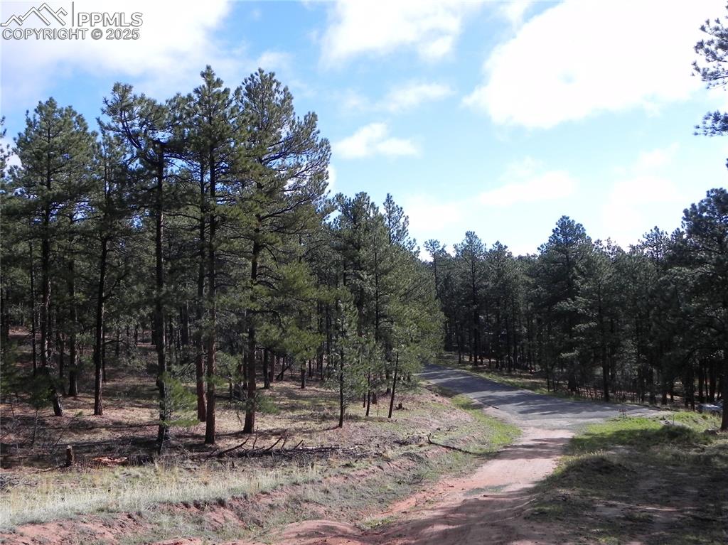 Image 14 of 20: Community