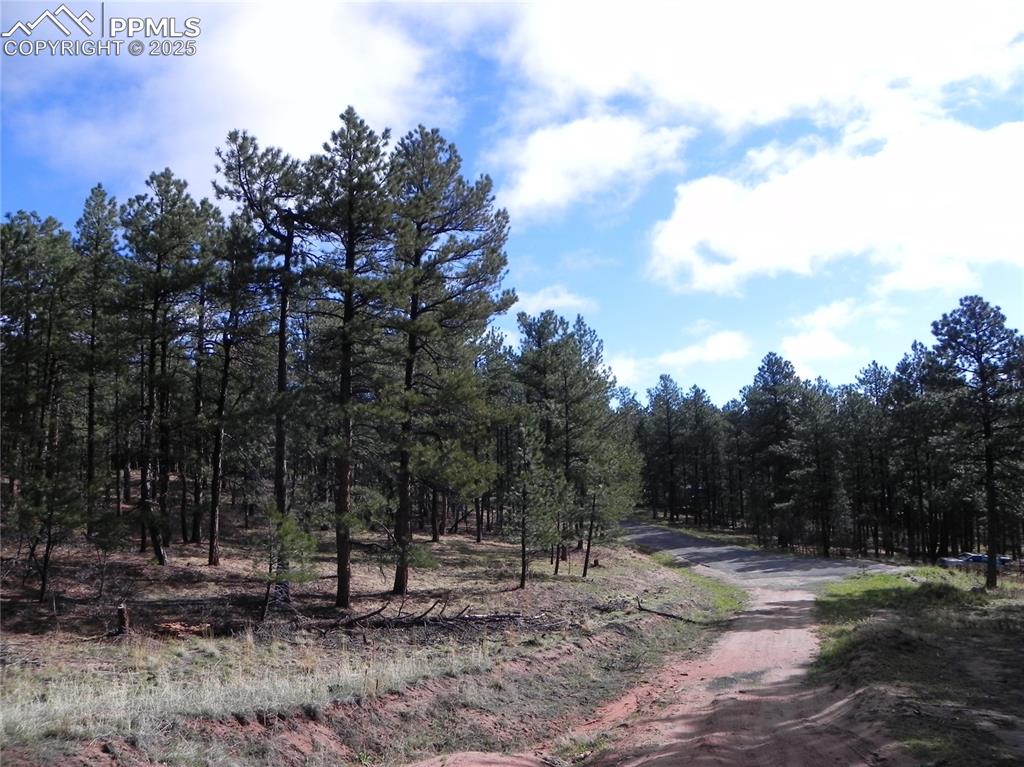 Image 15 of 20: Community