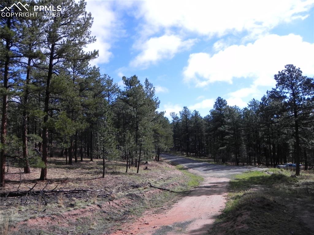 Image 16 of 20: Community