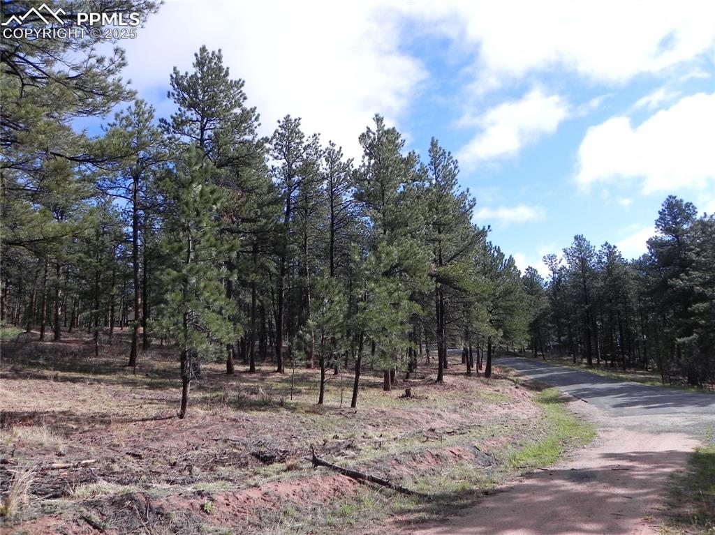 Image 17 of 20: Community