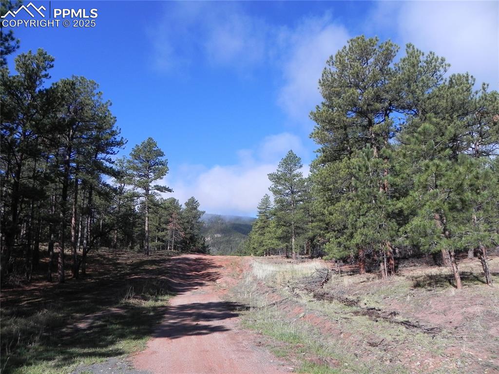 Image 18 of 20: Community