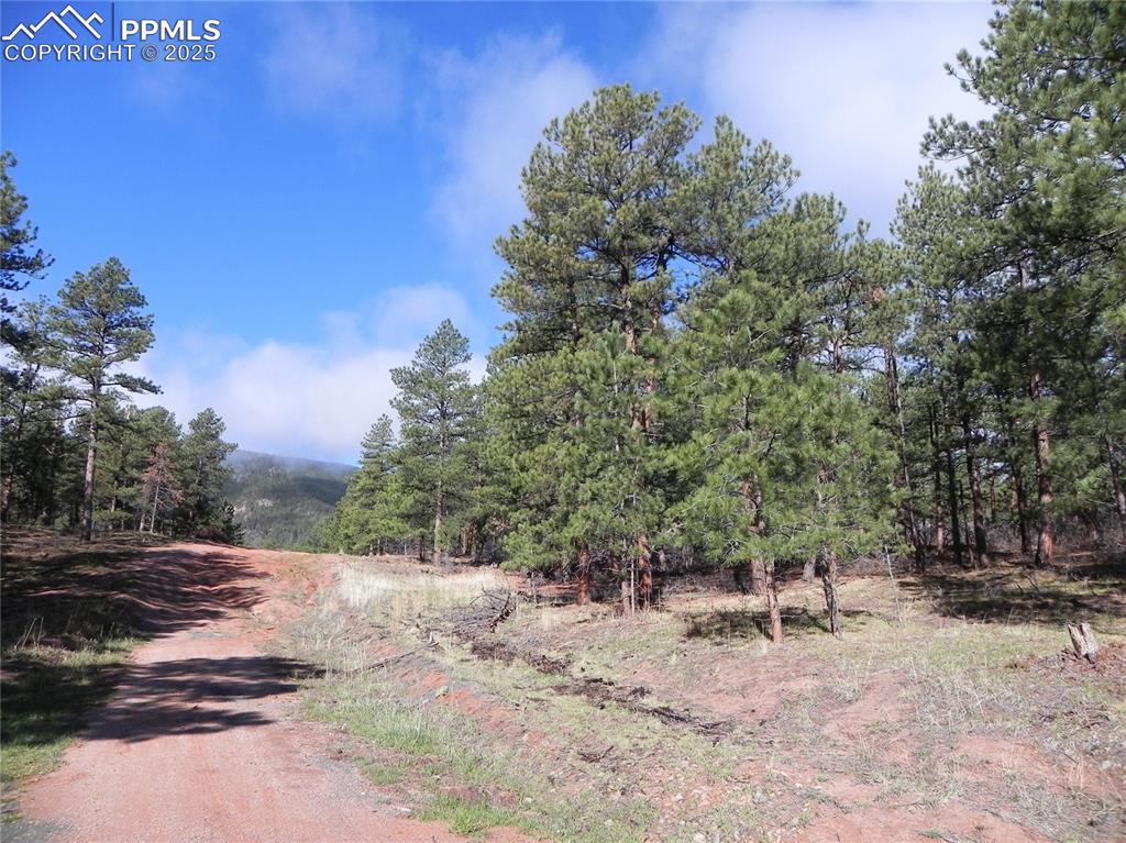 Image 19 of 20: Community