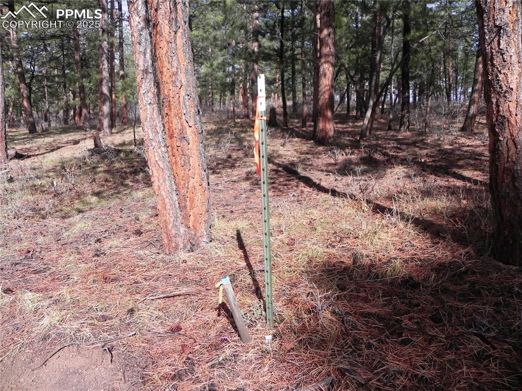 Image 20 of 20: Other