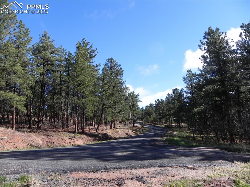 Image 4 of 20: Community