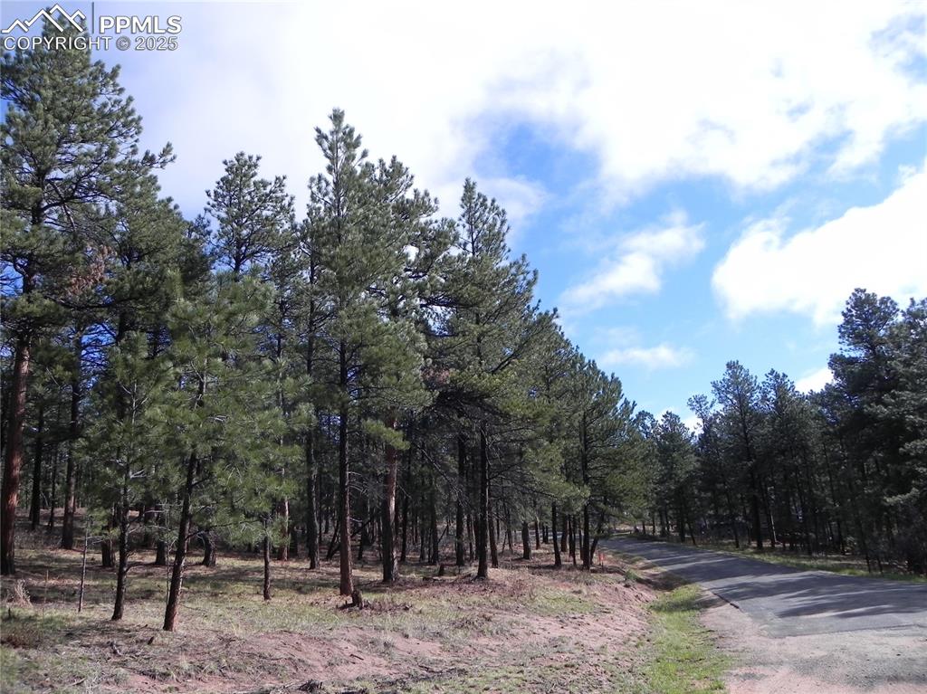 Image 6 of 20: Community