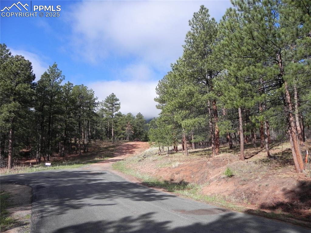 Image 7 of 20: Community