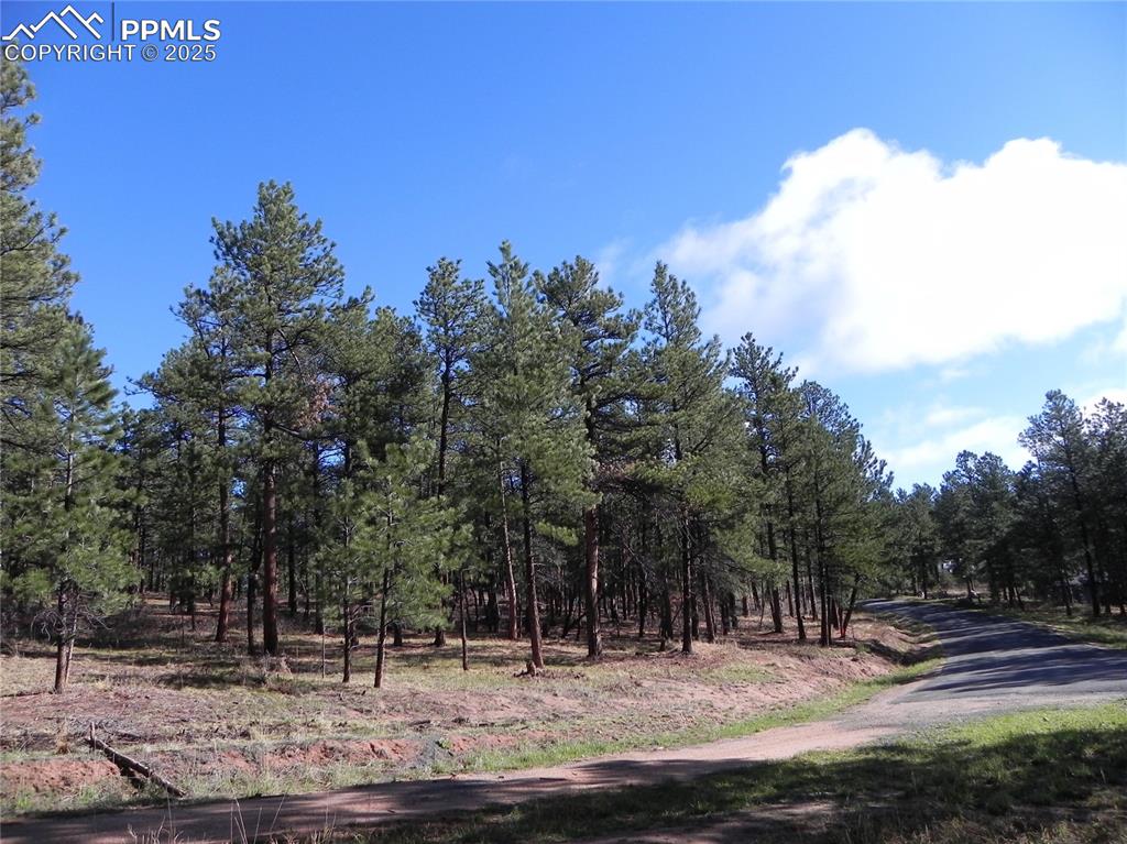 Image 8 of 20: Community