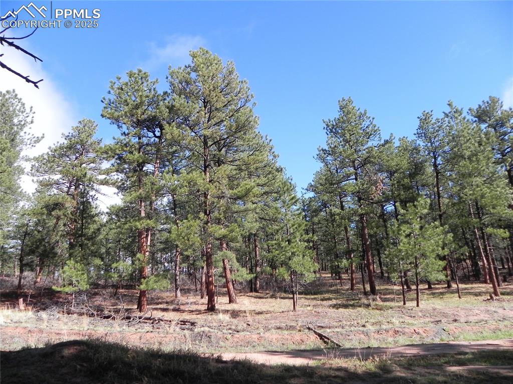 Image 9 of 20: Other