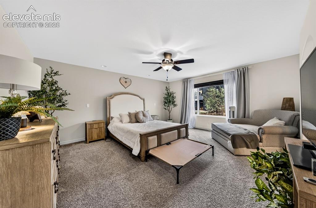 Image 24 of 50: New carpet, Oversized room, ceiling fan, adjoining bath, oversized walk-in