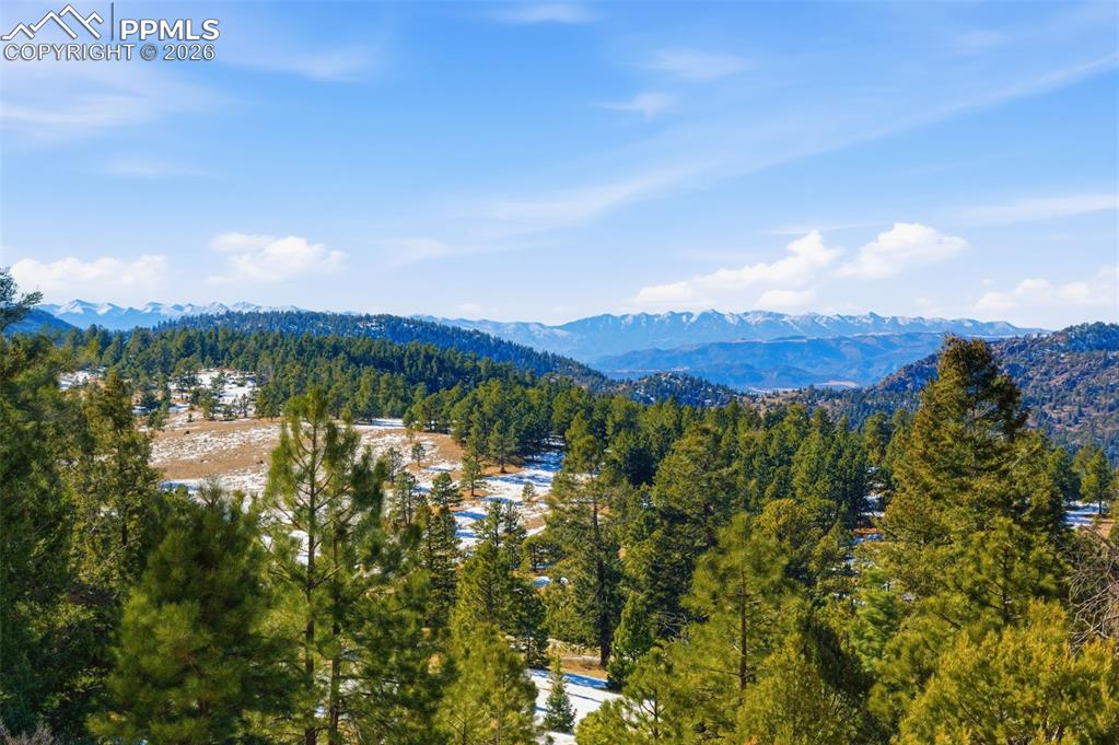 Image 12 of 23: View