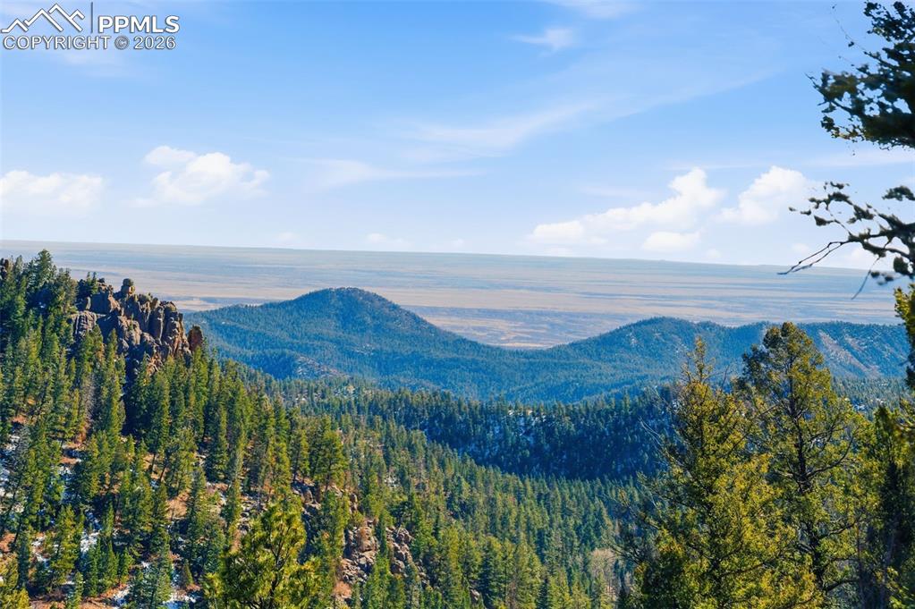 Image 14 of 23: View