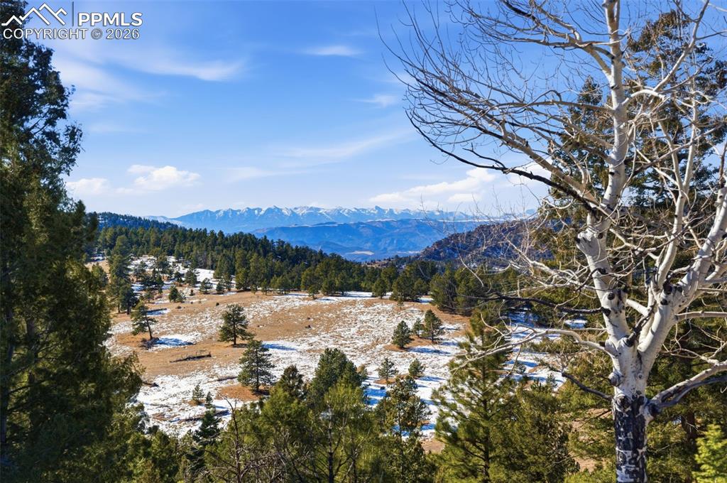 Image 16 of 23: View