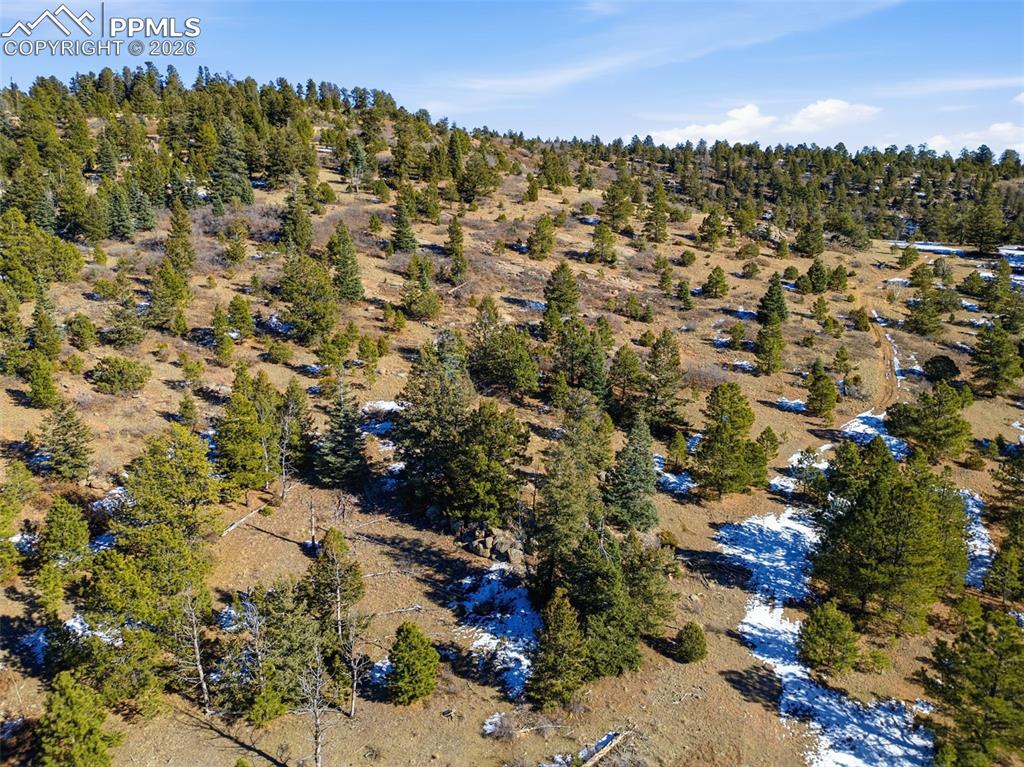 Image 23 of 23: Aerial View