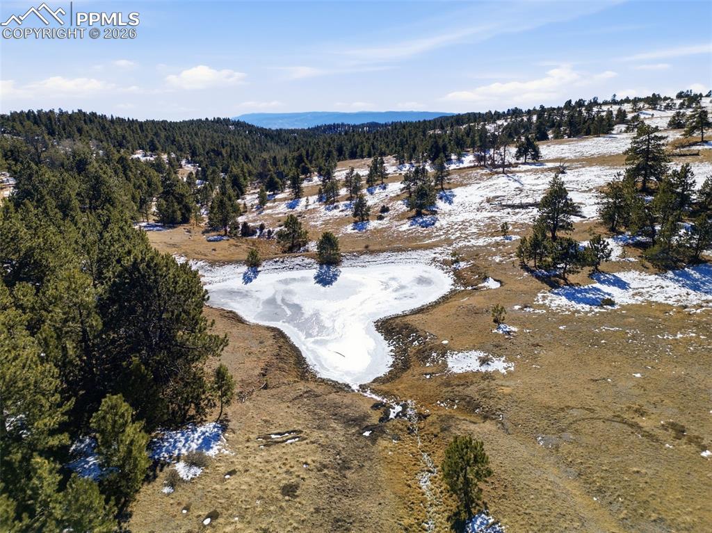 Image 3 of 23: Aerial View