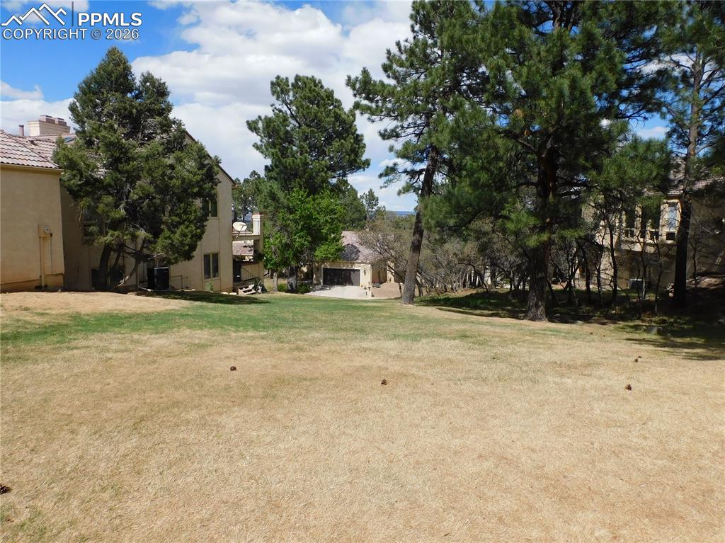 Caption: Expansive lawn area surrounded by mature pine trees and foliage