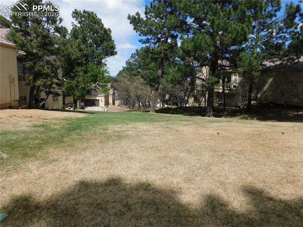 Image 2 of 9: Expansive grassy area with mature evergreen trees and additional foliage