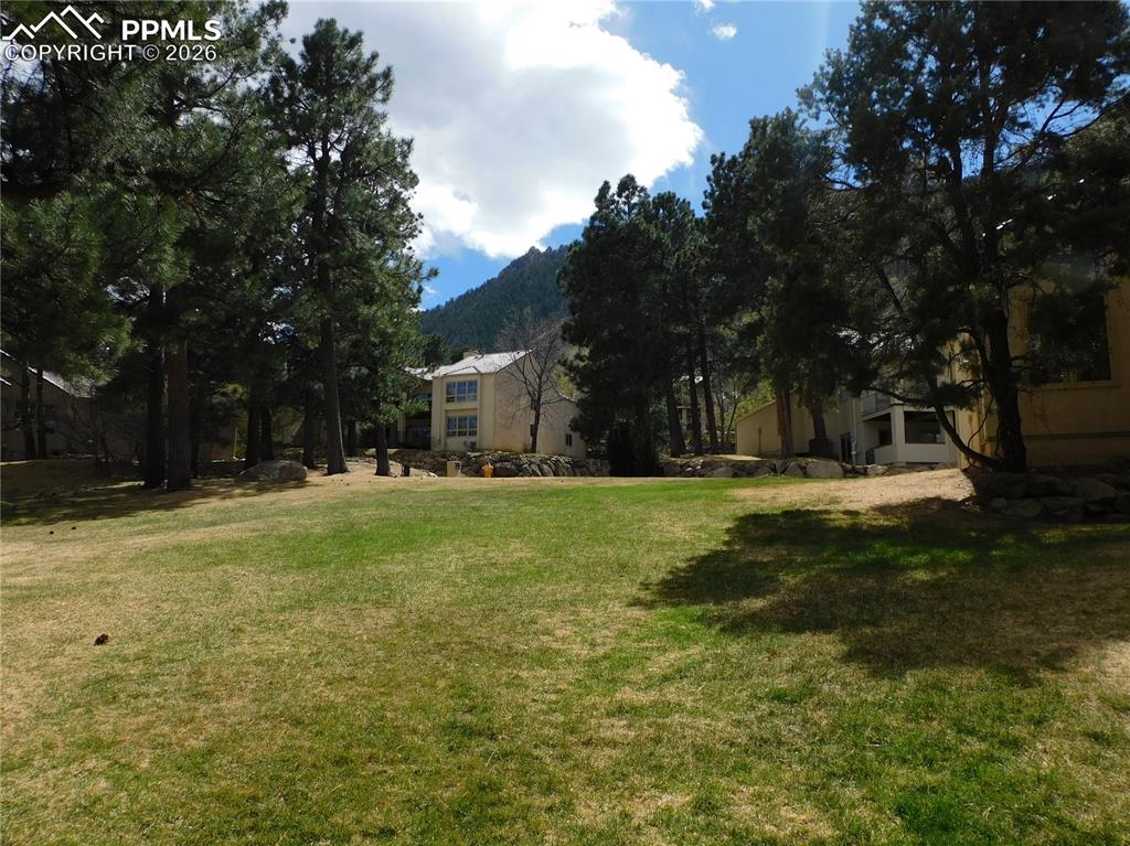 Image 3 of 9: Expansive grassy area surrounded by mature evergreen trees