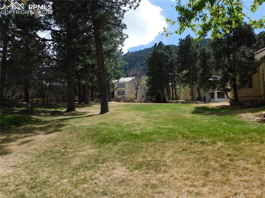 Image 4 of 9: Expansive green space featuring scattered mature trees, a backdrop of mount