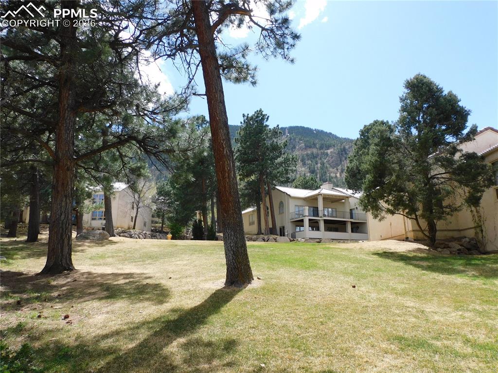 Image 5 of 9: Expansive green space featuring scattered mature trees and a distant mounta