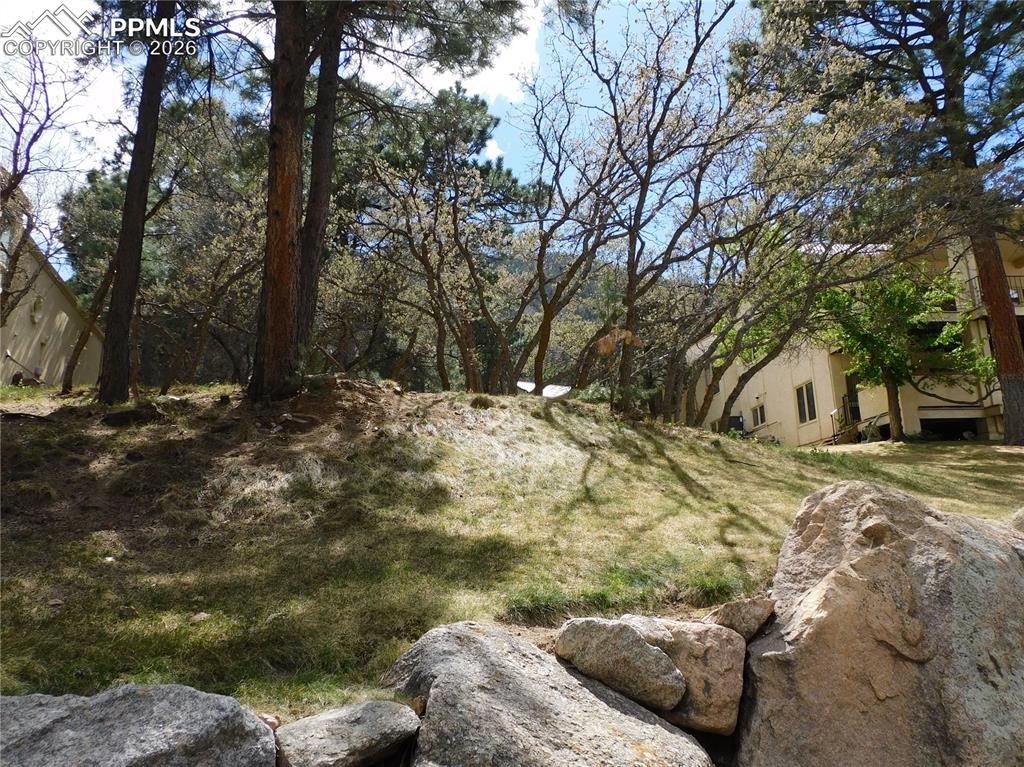 Image 9 of 9: Sloping natural terrain featuring mature trees and exposed rock formations