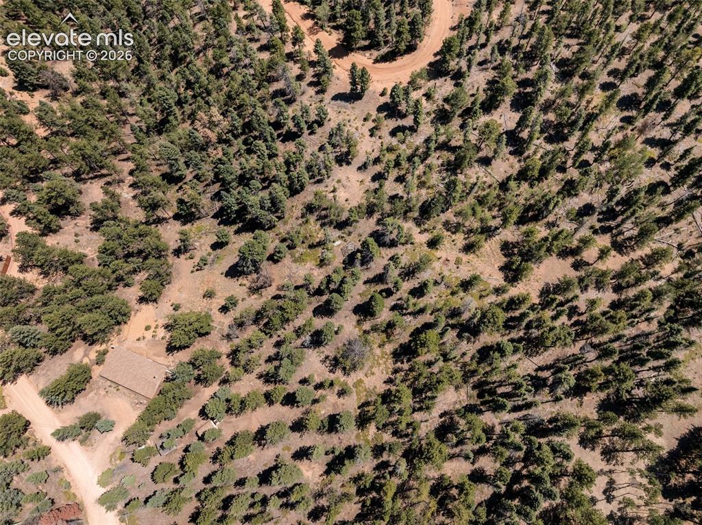 Image 32 of 46: Expansive forested landscape featuring mature trees and natural terrain