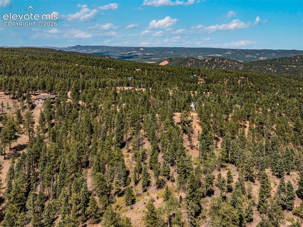 Image 35 of 46: Expansive wooded hillside parcel featuring mature coniferous trees and dist