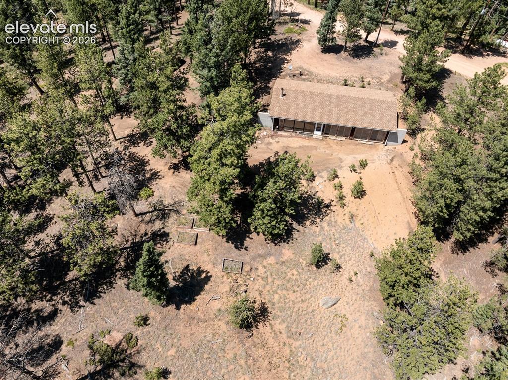 Image 36 of 46: Contemporary-style home nestled within a dense forest of mature evergreen t